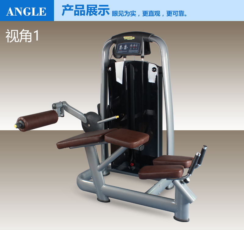后屈腿训练器